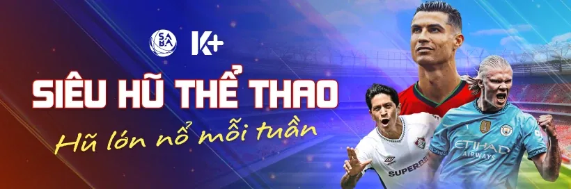 Hoàn trả cược thể thao VT999
